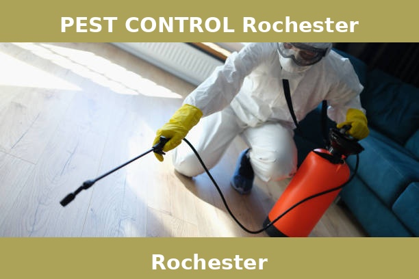 PEST CONTROL Rochester